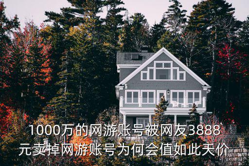 1000万的网游账号被网友3888元卖掉网游账号为何会值如此天价