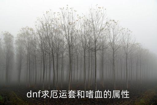 dnf厄运走什么属性好，dnf求魔神厄运套属性