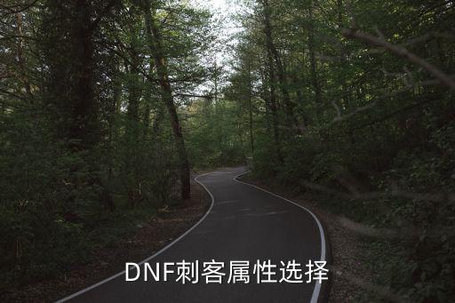 DNF刺客属性选择