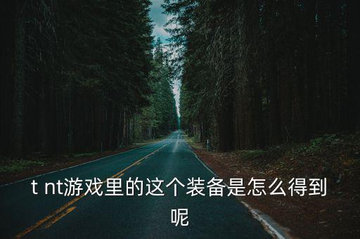 t nt游戏里的这个装备是怎么得到呢