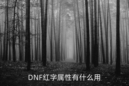 DNF红字属性有什么用