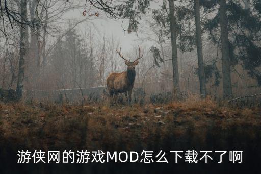 游戏装备模组怎么下载，游侠网的游戏MOD怎么下载不了啊