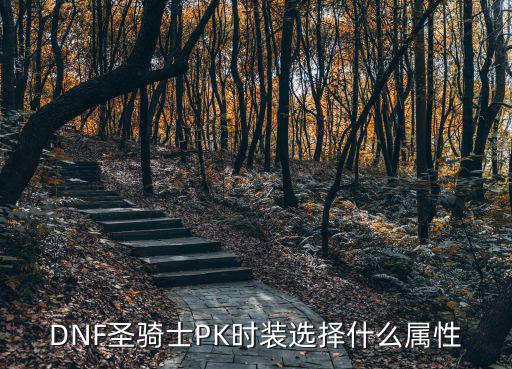 DNF圣骑士PK时装选择什么属性