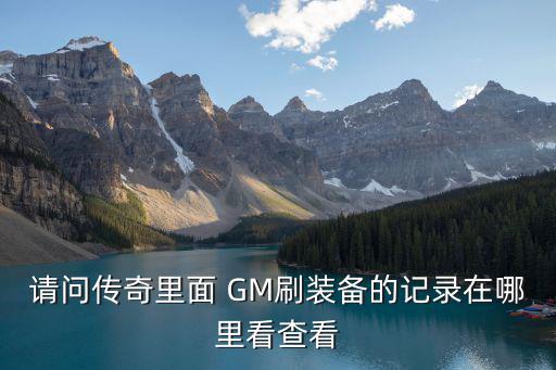 gm怎么看游戏装备，请问传奇里面 GM刷装备的记录在哪里看查看