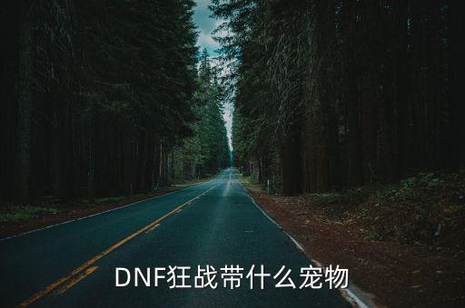 DNF狂战带什么宠物