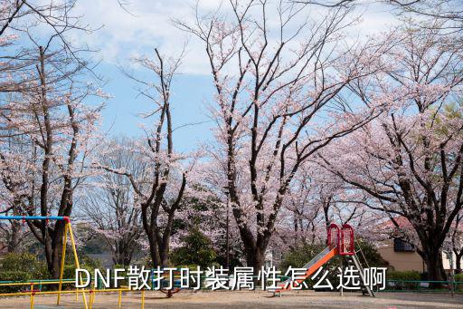 dnf散打时装属性选什么，DNF散打时装选什么属性的好