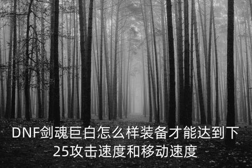 DNF剑魂巨白怎么样装备才能达到下25攻击速度和移动速度