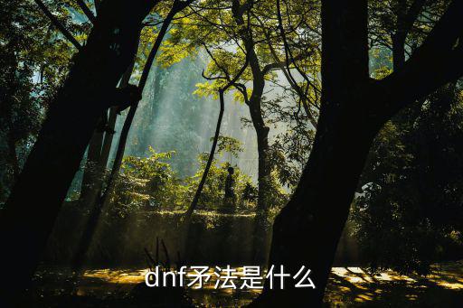 dnf矛法要什么属性，dnf80级矛法刷图 时装选择什么属性