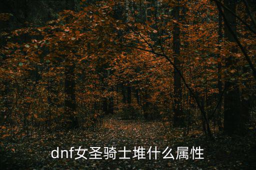 dnf女圣骑士堆什么属性