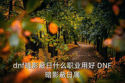 dnf暗影蔽日什么职业用好 DNF暗影蔽日属