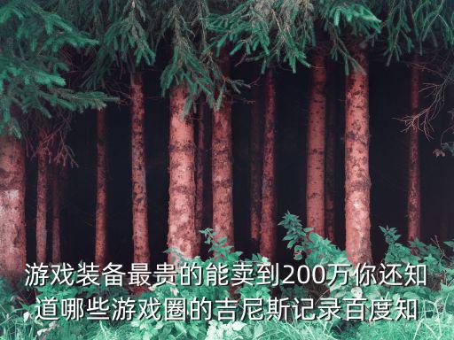 游戏装备最贵的能卖到200万你还知道哪些游戏圈的吉尼斯记录百度知