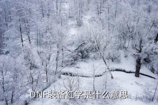 DNF装备红字是什么意思