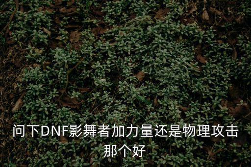 问下DNF影舞者加力量还是物理攻击那个好