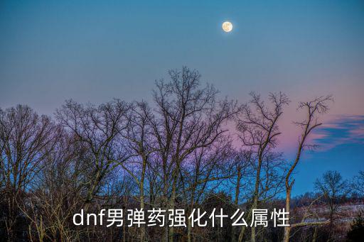 dnf男弹药玩什么属性，dnf男弹药强化什么属性