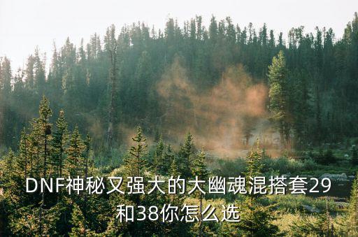 DNF神秘又强大的大幽魂混搭套29和38你怎么选