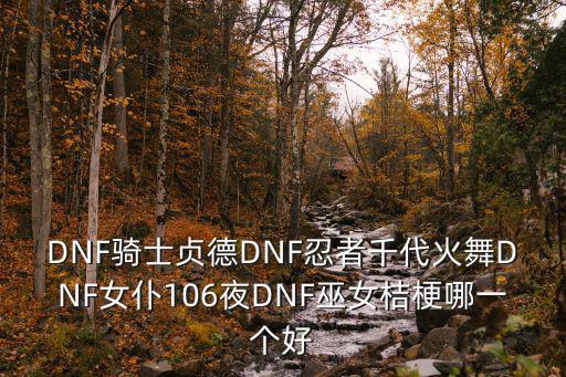 DNF骑士贞德DNF忍者千代火舞DNF女仆106夜DNF巫女桔梗哪一个好