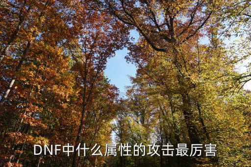 DNF中什么属性的攻击最厉害