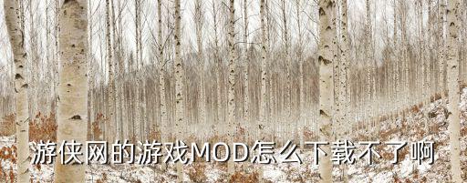 游侠网的游戏MOD怎么下载不了啊