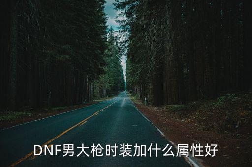 DNF男大枪时装加什么属性好