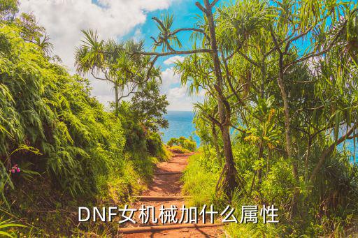 DNF女机械加什么属性