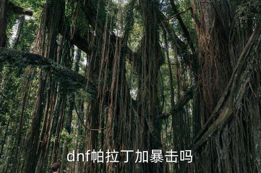 dnf帕拉丁加暴击吗