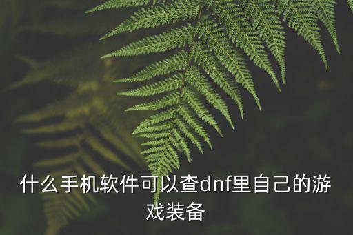 什么手机软件可以查dnf里自己的游戏装备