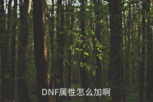 DNF属性怎么加啊