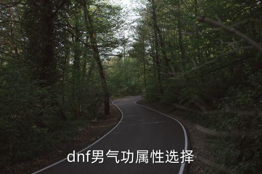 dnf男气功属性选择