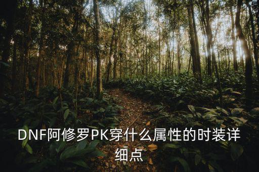 DNF阿修罗PK穿什么属性的时装详细点