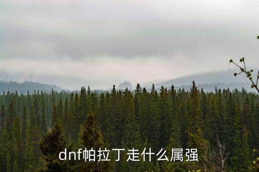 dnf帕拉丁走什么属强