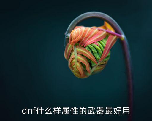 dnf什么样属性的武器最好用