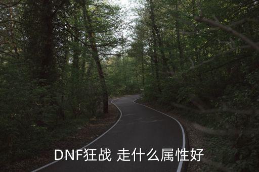 DNF狂战 走什么属性好