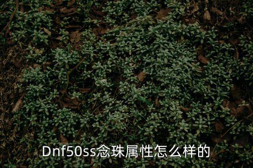 Dnf50ss念珠属性怎么样的