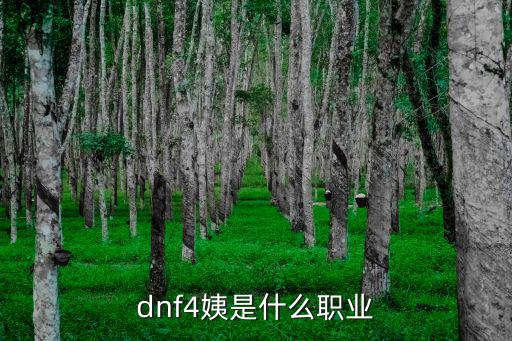 dnf4姨是什么职业