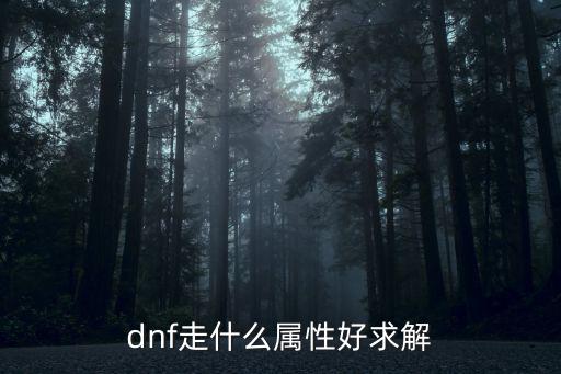 dnf走什么属性好求解