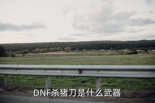 DNF杀猪刀是什么武器