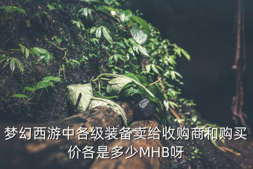 梦幻西游中各级装备卖给收购商和购买价各是多少MHB呀