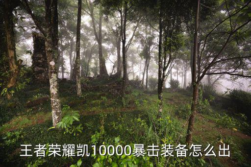 王者荣耀凯10000暴击装备怎么出