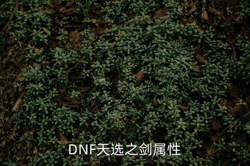 dnf天帝武器选什么属性，DNF天围各图应该用什么属性武器打