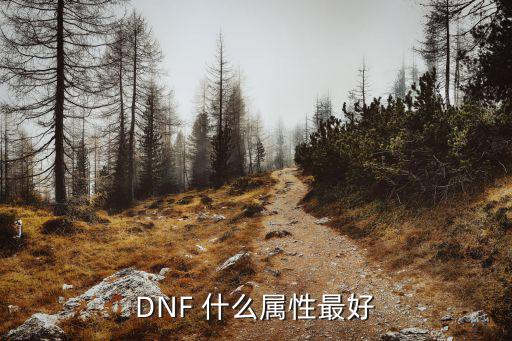 DNF 什么属性最好