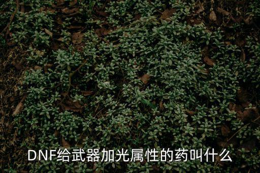 dnf光属性药水是什么，DNF是没有光属性药剂