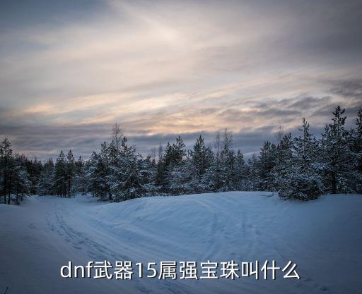 dnf武器15属强宝珠叫什么