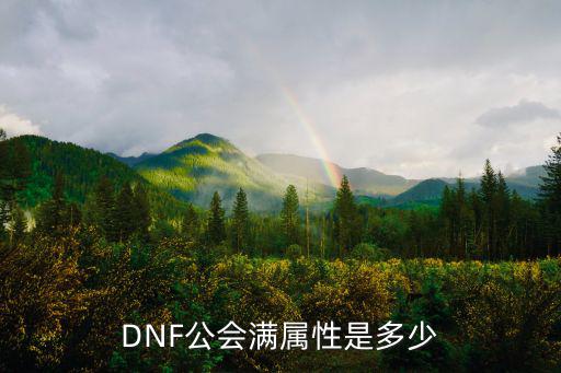 DNF公会满属性是多少