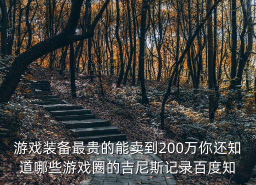 游戏装备最贵的能卖到200万你还知道哪些游戏圈的吉尼斯记录百度知