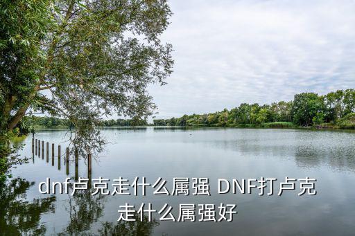 dnf卢克走什么属强 DNF打卢克走什么属强好