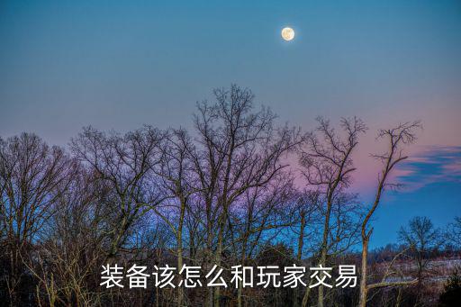 装备该怎么和玩家交易