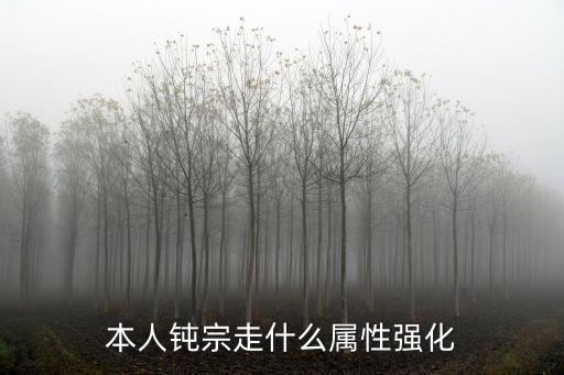 本人钝宗走什么属性强化