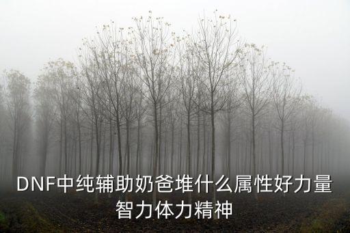 DNF中纯辅助奶爸堆什么属性好力量智力体力精神