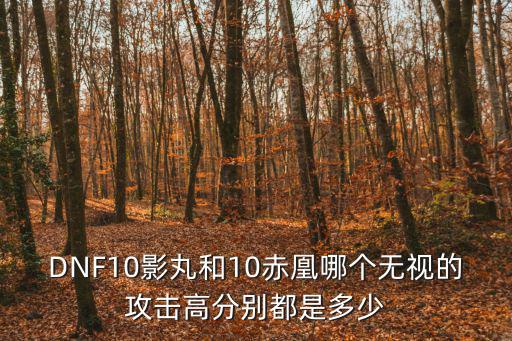 DNF10影丸和10赤凰哪个无视的攻击高分别都是多少