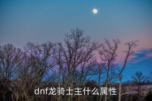 dnf龙骑士主什么属性